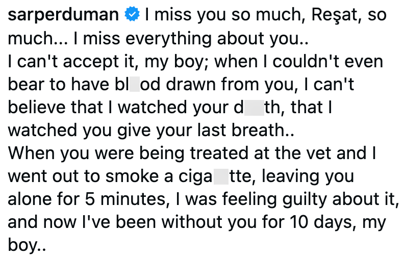 sarperduman I miss you so much, Reşat, so much... I miss everything about you.. I can't accept it, my boy; when I couldn't even bear to have bl od drawn from you, I can't believe that I watched your d th, that I watched you give your last breath.. When you were being treated at the vet and I went out to smoke a ciga tte, leaving you alone for 5 minutes, I was feeling guilty about it, and now I've been without you for 10 days, my boy..
