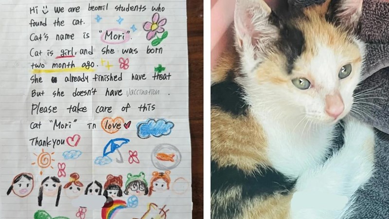 Hi We are beomil students who found the cat. Cat's name is "Mori". Cat is girl, and she was born two month ago. 8 She already finished have treat But she doesn't have vaccination Please take care of this Cat "Mori" Tn love Thank you 2