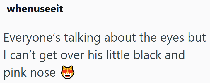 whenuseeit Everyone's talking about the eyes but I can't get over his little black and pink nose