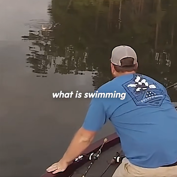 what is swimming