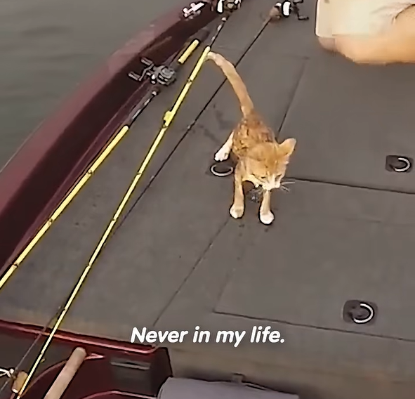 Never in my life.