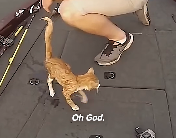 Oh God.