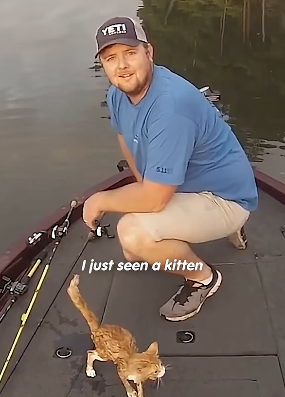 YET! 511 I just seen a kitten