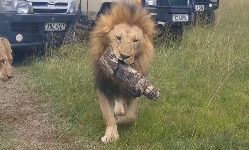 KBZ 412T KCK 835L 643N