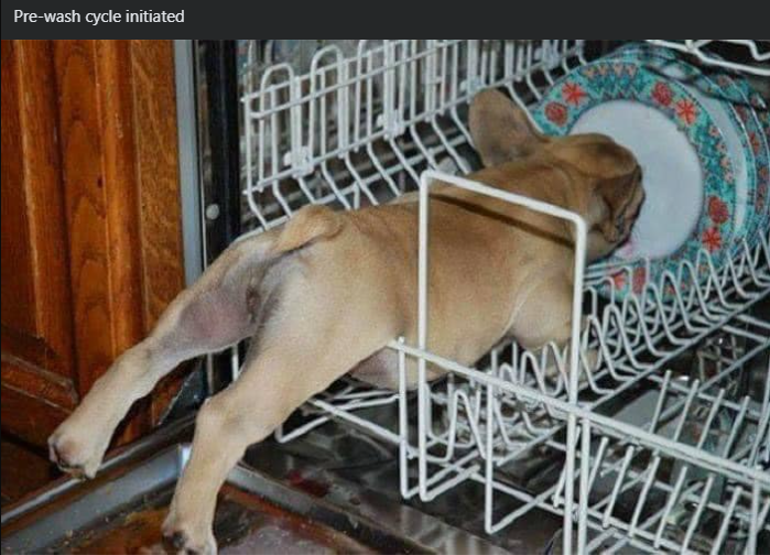 Pre-wash cycle initiated