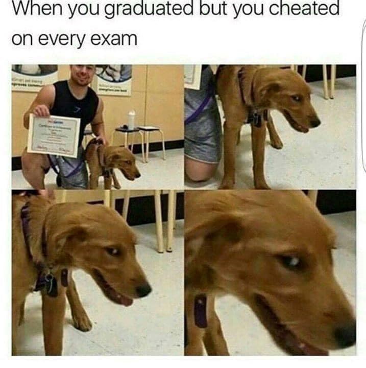 When you graduated but you cheated on every exam
