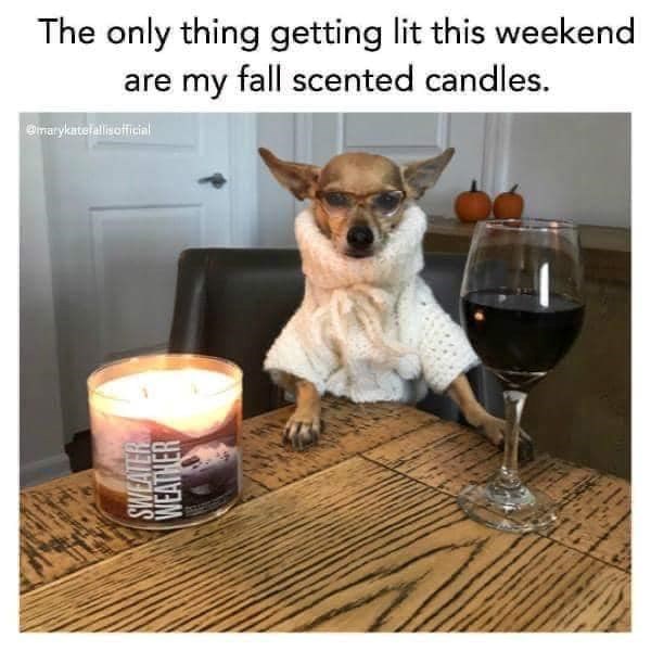 The only thing getting lit this weekend @marykatelallisofficial SWEATER WEATHER are my fall scented candles.