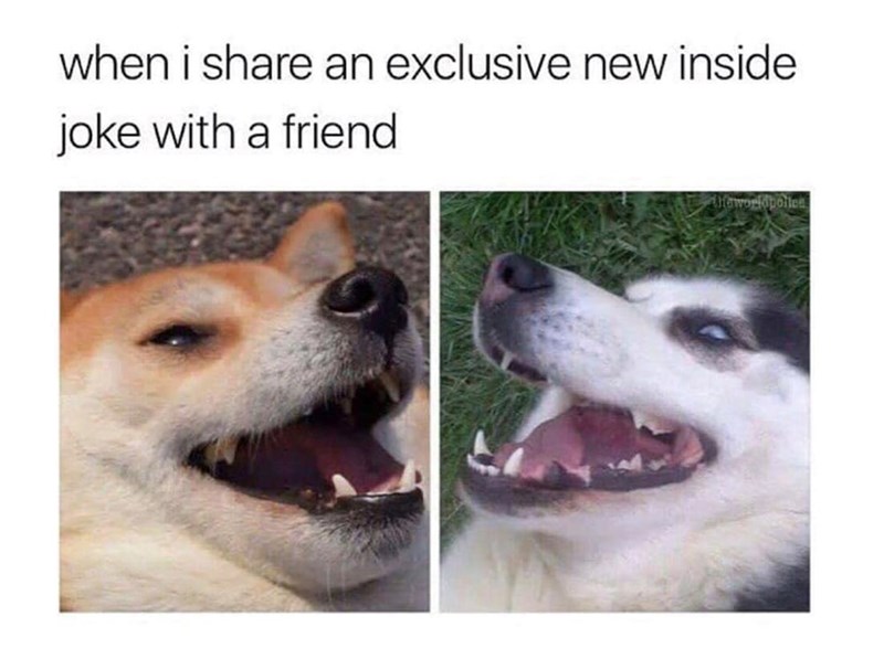 when i share an exclusive new inside joke with a friend Hework poltes