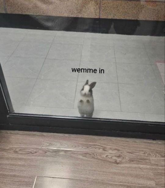 wemme in
