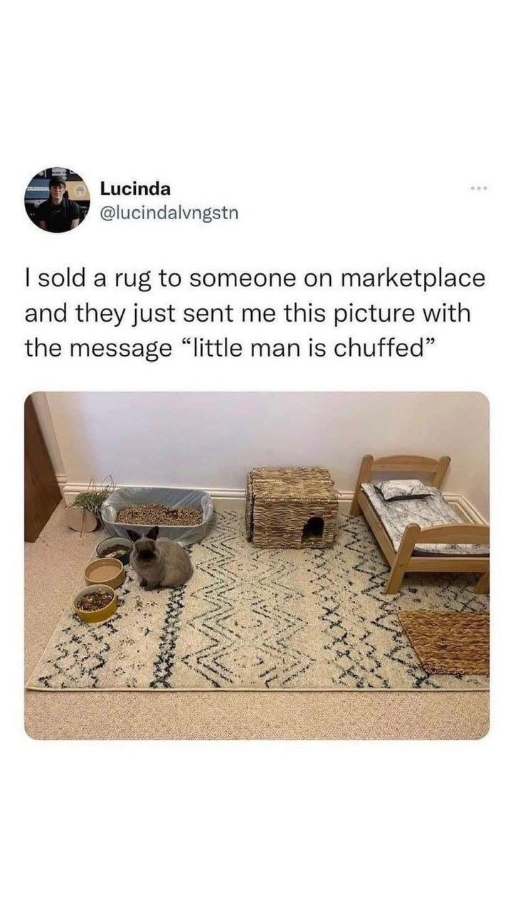 Lucinda @lucindalvngstn I sold a rug to someone on marketplace and they just sent me this picture with the message "little man is chuffed"