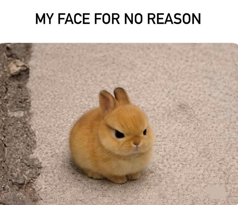 MY FACE FOR NO REASON