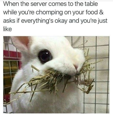 When the server comes to the table while you're chomping on your food & asks if everything's okay and you're just like