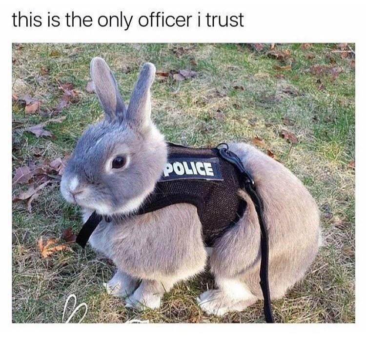 this is the only officer i trust. POLICE