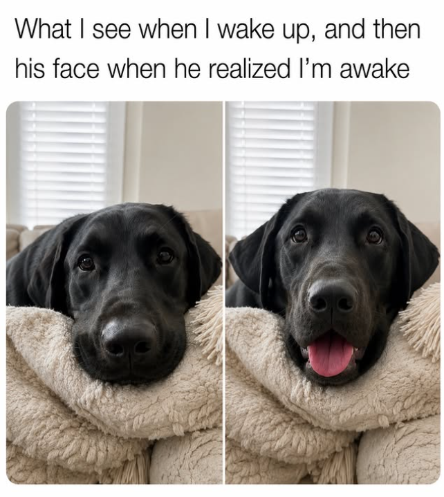 What I see when I wake up, and then his face when he realized I'm awake