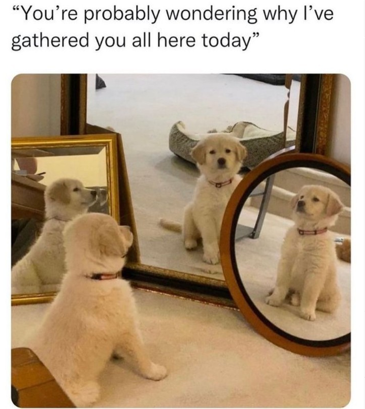 "You're probably wondering why I've gathered you all here today"