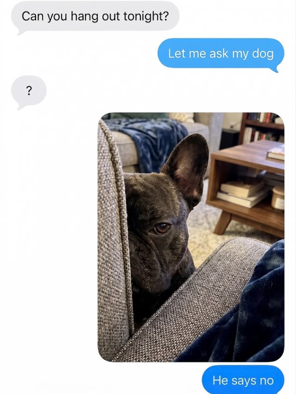 Can you hang out tonight? Let me ask my dog ? He says no