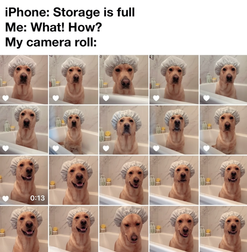 iPhone: Storage is full Me: What! How? My camera roll: 0:13