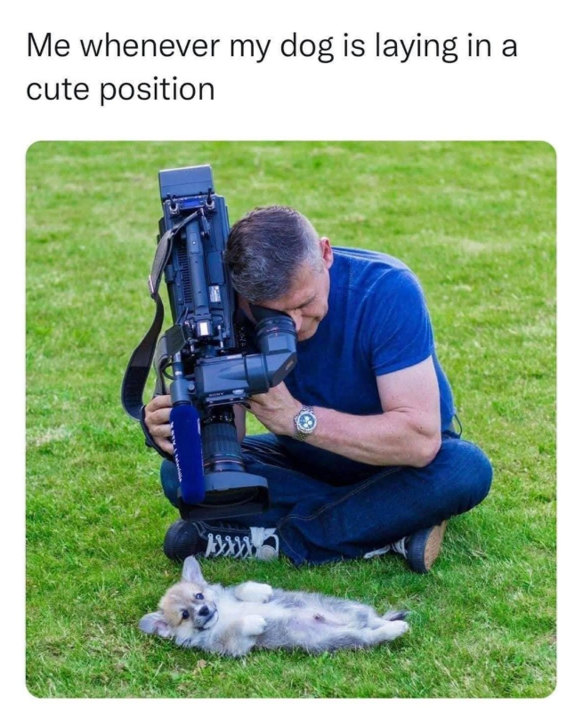 K Me whenever my dog is laying in a cute position