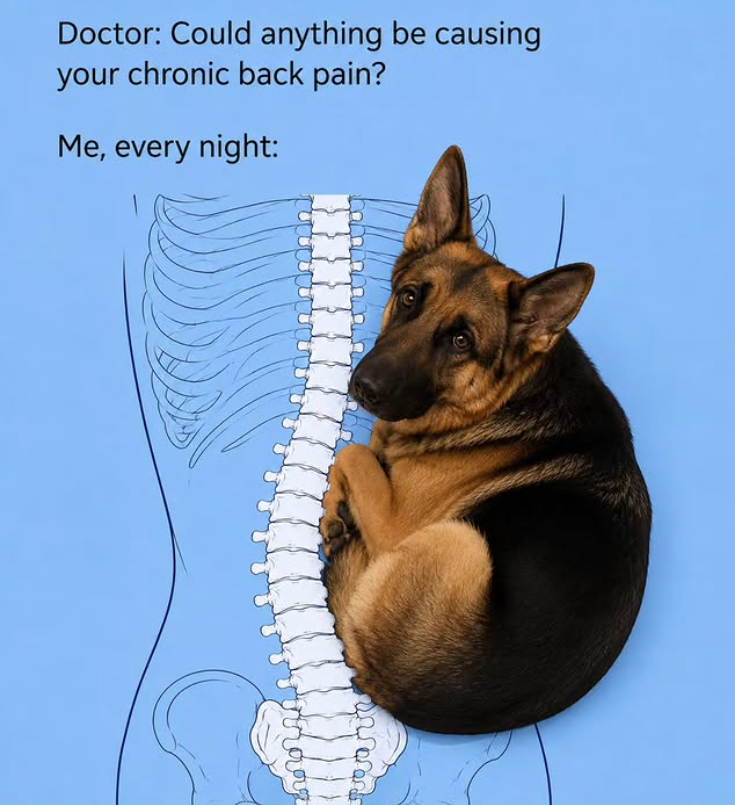 Doctor: Could anything be causing your chronic back pain? Me, every night: