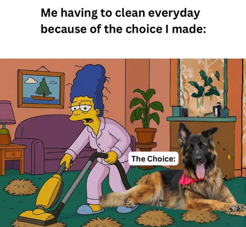 Me having to clean everyday because of the choice I made: @axelunleashed The Choice: