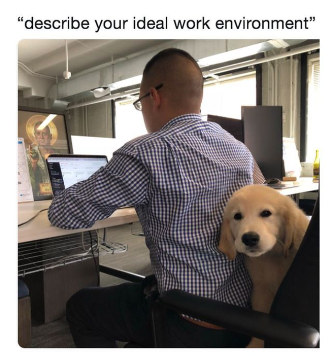 "describe your ideal work environment"