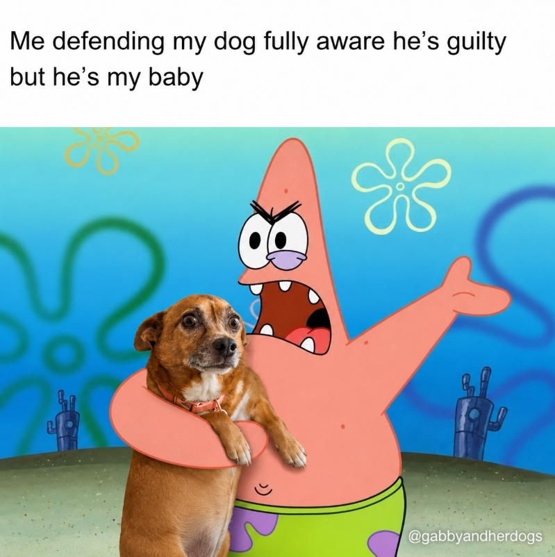 Me defending my dog fully aware he's guilty but he's my baby @gabbyandherdogs