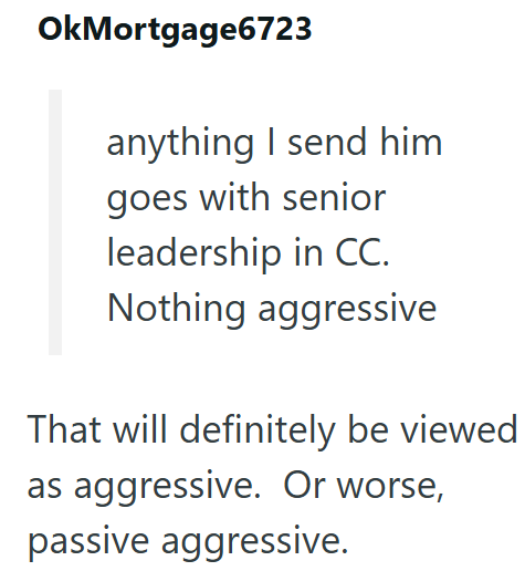 OkMortgage6723 anything I send him goes with senior leadership in CC. Nothing aggressive That will definitely be viewed as aggressive. Or worse, passive aggressive.