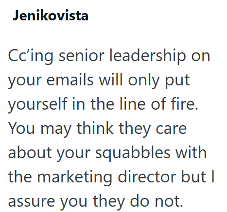 Jenikovista Cc'ing senior leadership on your emails will only put yourself in the line of fire. You may think they care about your squabbles with the marketing director but I assure you they do not.
