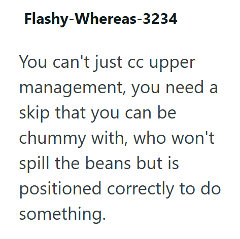 Flashy-Whereas-3234 You can't just cc upper management, you need a skip that you can be chummy with, who won't spill the beans but is positioned correctly to do something.