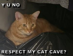 YU NO RESPECT MY CAT CAVE?