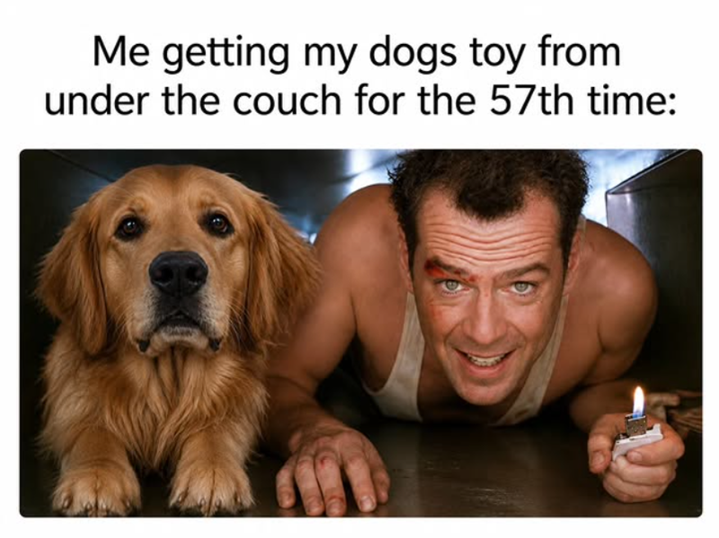 Me getting my dogs toy from under the couch for the 57th time: