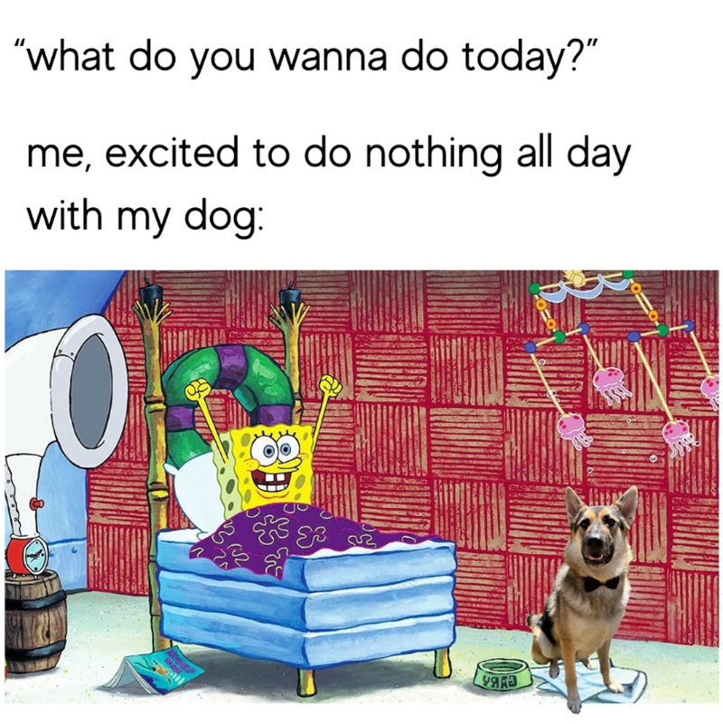 "what do you wanna do today?" me, excited to do nothing all day with my dog: 0 a УЯКА