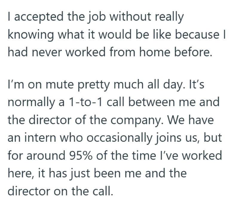 I accepted the job without really knowing what it would be like because I had never worked from home before. I'm on mute pretty much all day. It's normally a 1-to-1 call between me and the director of the company. We have an intern who occasionally joins us, but for around 95% of the time I've worked here, it has just been me and the director on the call.