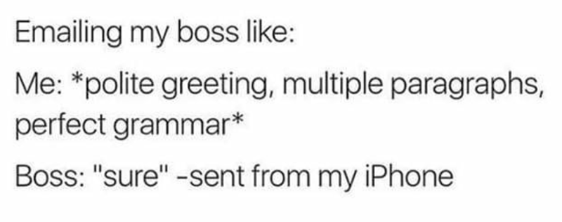 Emailing my boss like: Me: *polite greeting, multiple paragraphs, perfect grammar* Boss: "sure"-sent from my iPhone
