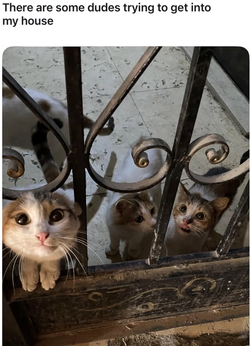 There are some dudes trying to get into my house