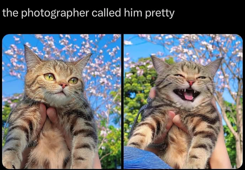 the photographer called him pretty