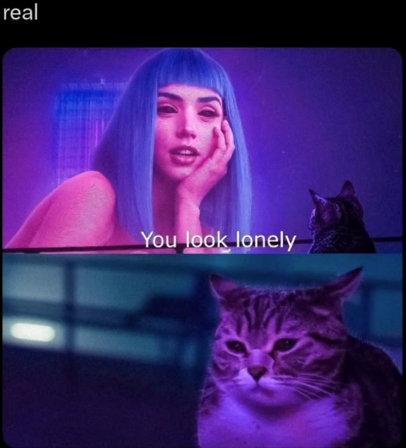 real You look lonely