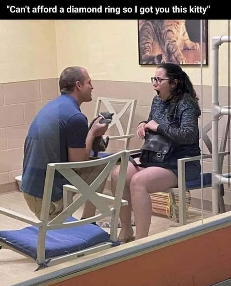 "Can't afford a diamond ring so I got you this kitty"