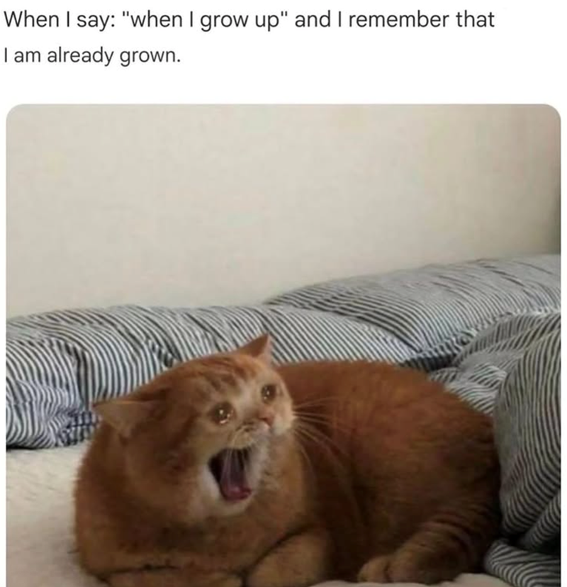When I say: "when I grow up" and I remember that I am already grown.
