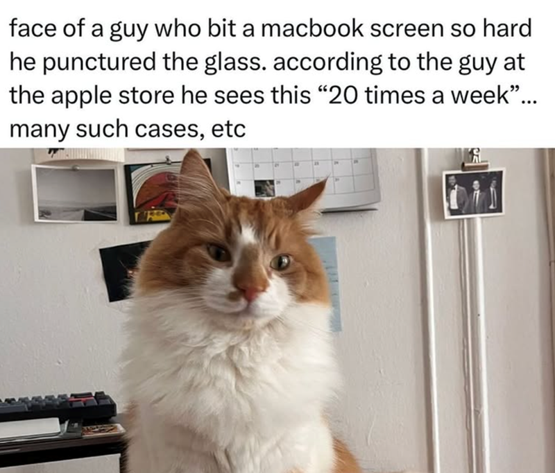 face of a guy who bit a macbook screen so hard he punctured the glass. according to the guy at the apple store he sees this "20 times a week"... many such cases, etc.