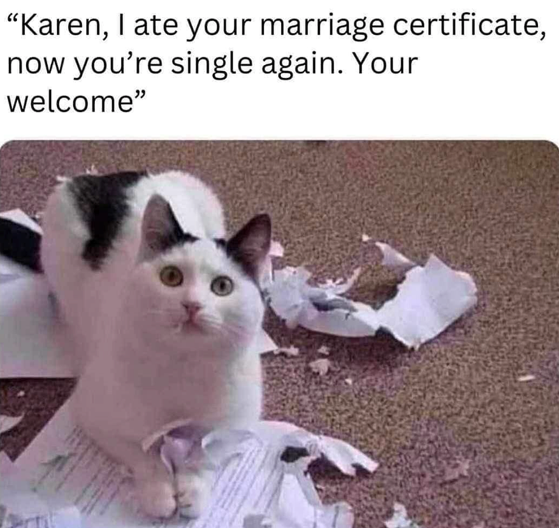 "Karen, I ate your marriage certificate, now you're single again. Your welcome"