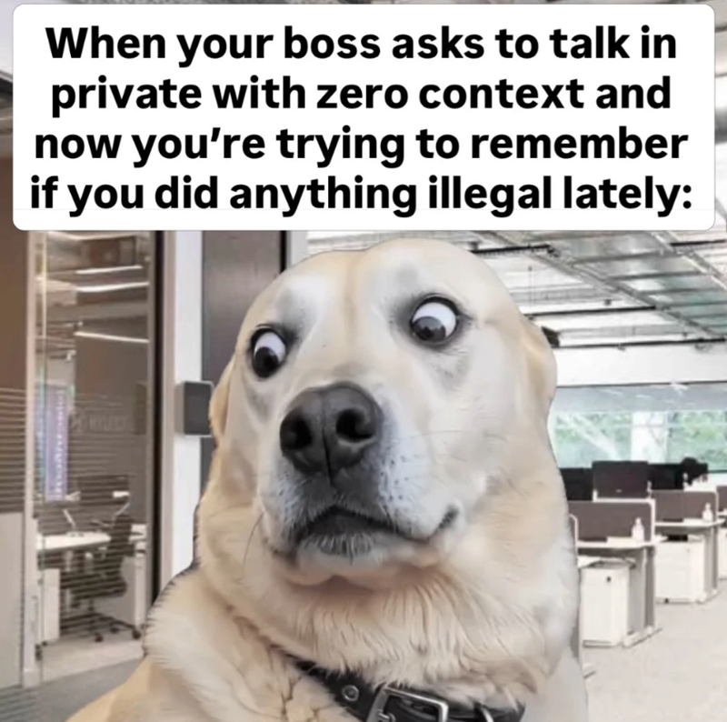 When your boss asks to talk in private with zero context and now you're trying to remember if you did anything illegal lately: NO MILEST