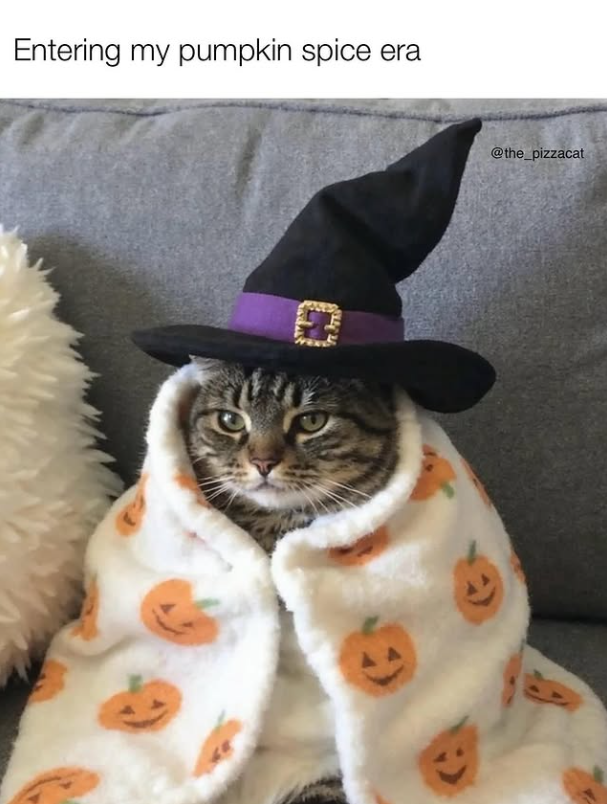 Entering my pumpkin spice era C @the_pizzacat