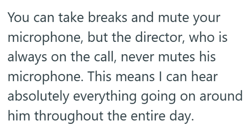 You can take breaks and mute your microphone, but the director, who is always on the call, never mutes his microphone. This means I can hear absolutely everything going on around him throughout the entire day.