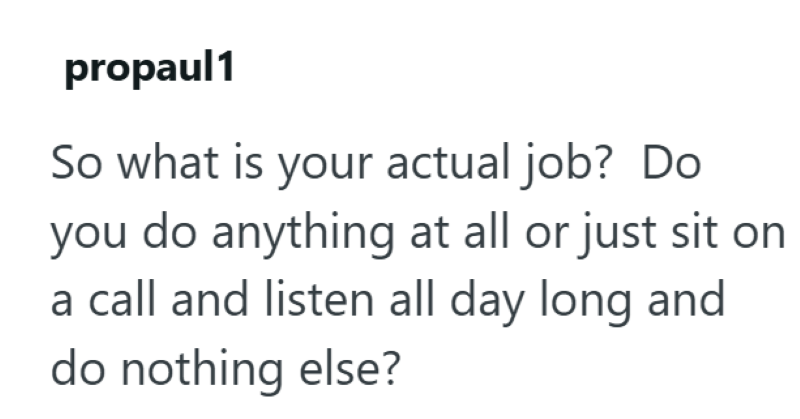 propaul1 So what is your actual job? Do you do anything at all or just sit on a call and listen all day long and do nothing else?