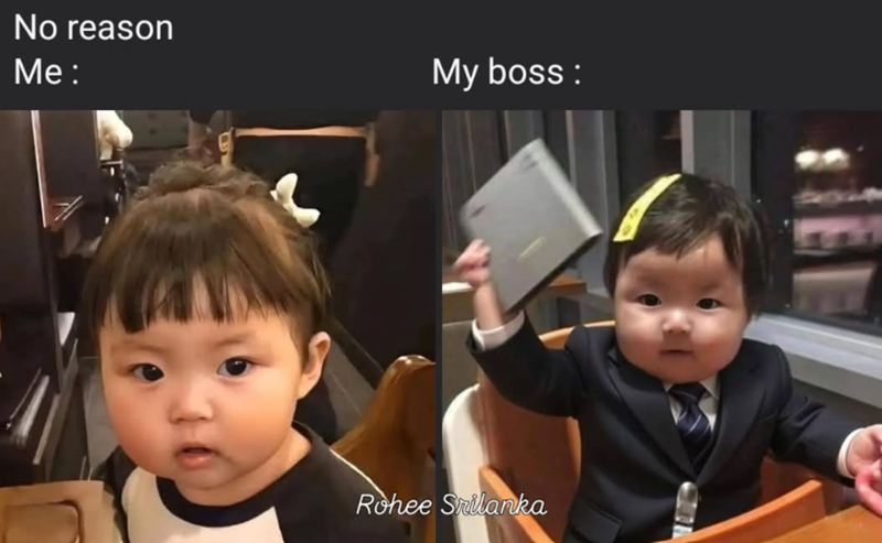 No reason Me: My boss : Rohee Srilanka