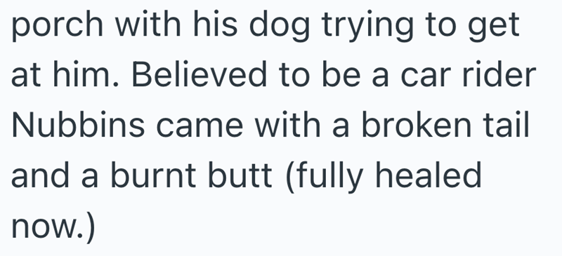 porch with his dog trying to get at him. Believed to be a car rider Nubbins came with a broken tail and a burnt butt (fully healed now.)