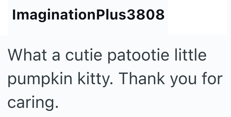 ImaginationPlus3808 What a cutie patootie little pumpkin kitty. Thank you for caring.