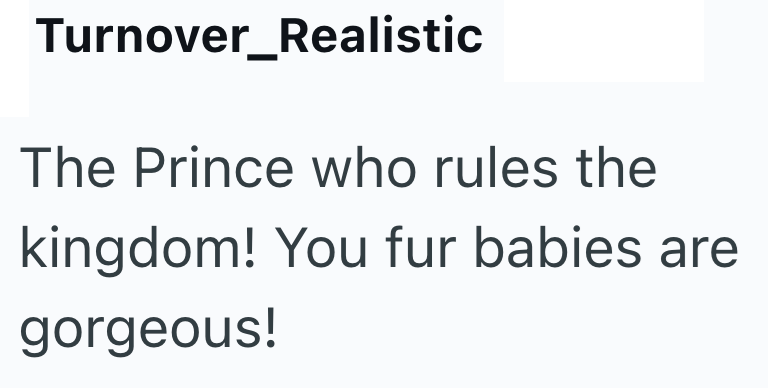 Turnover_Realistic The Prince who rules the kingdom! You fur babies are gorgeous!