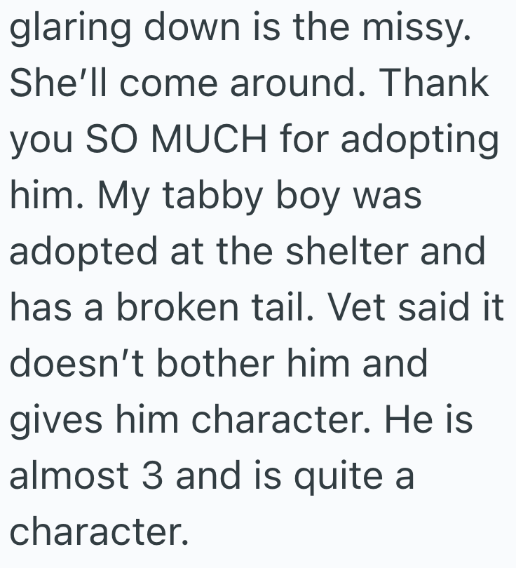 glaring down is the missy. She'll come around. Thank you SO MUCH for adopting him. My tabby boy was adopted at the shelter and has a broken tail. Vet said it doesn't bother him and gives him character. He is almost 3 and is quite a character.
